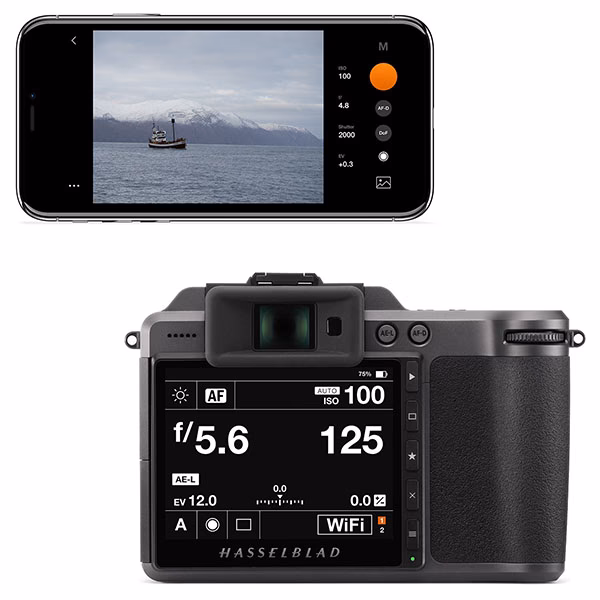 Wie viel kostet die Phocus-Software?