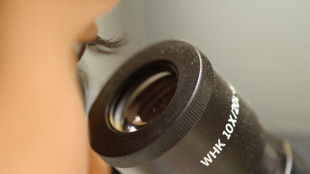 Sind mikroskopische Kameras möglich?