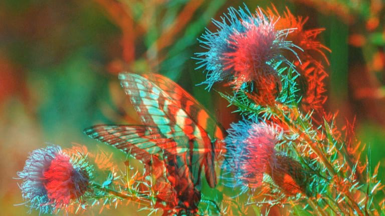 Wann wurde die erste 3D-Kamera hergestellt?