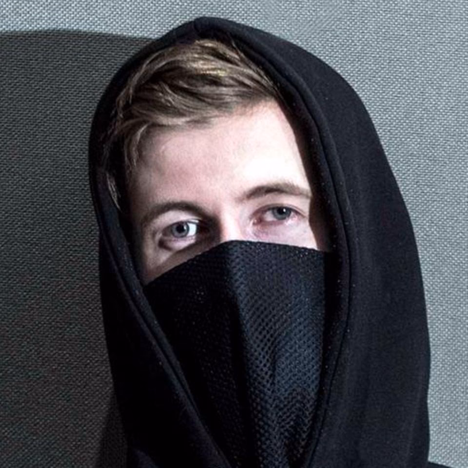 Was ist der Ursprung von Alan Walker?