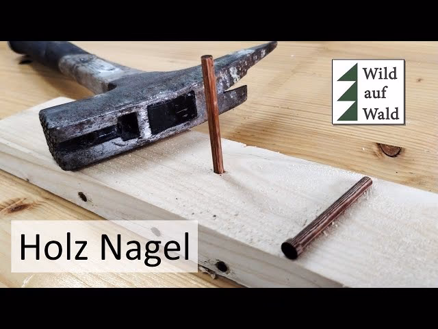 Wieso hält ein Nagel im Holz?