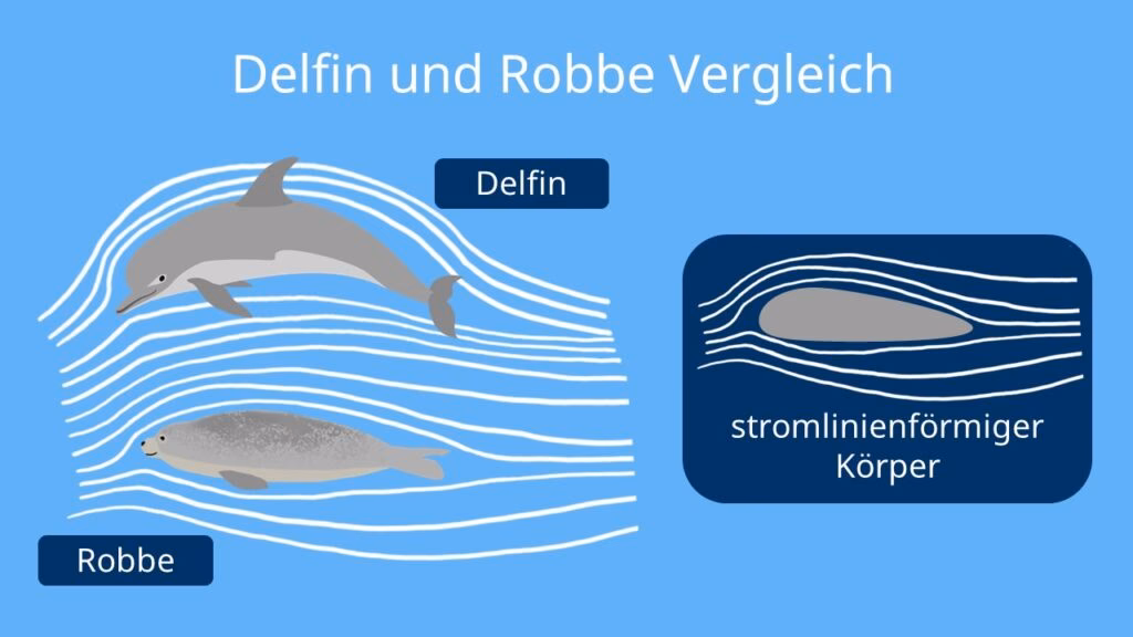 Wie entsteht eine Konvergenz?