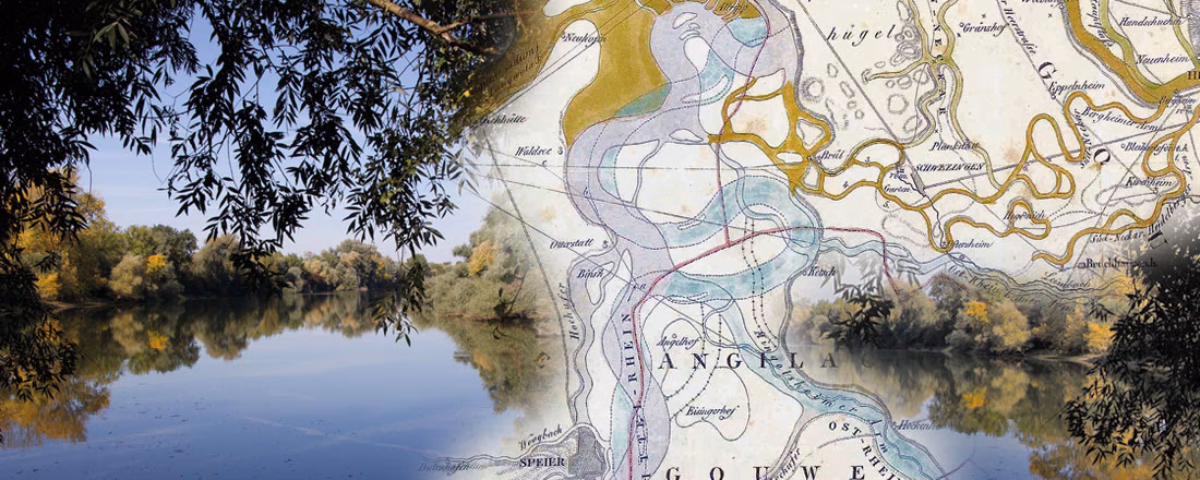 Warum wurde der Rhein reguliert?