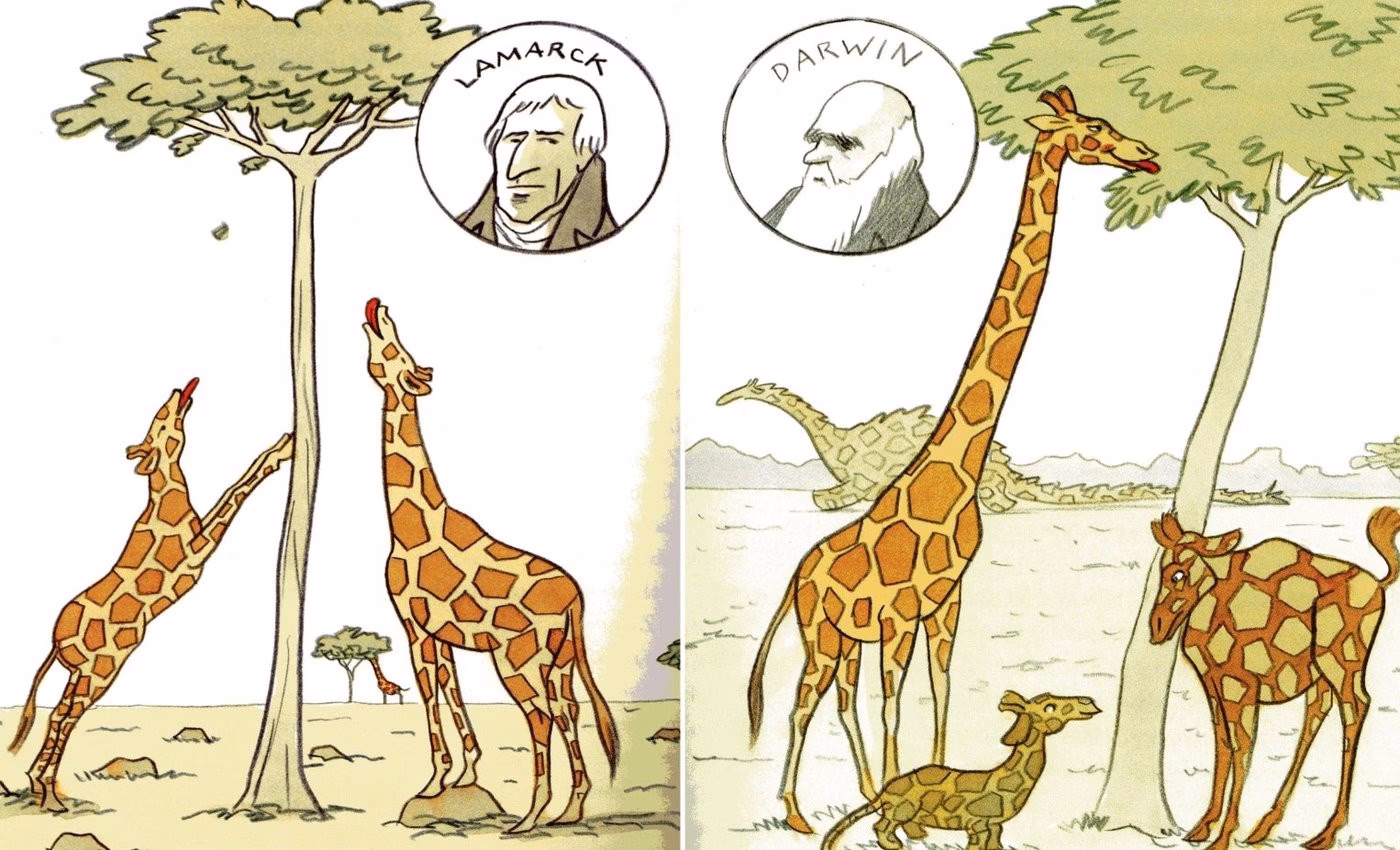 Was ist die Theorie von Jean-Baptiste Lamarck?
