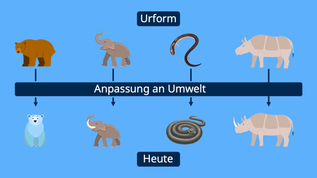 Wie ist die Evolutionstheorie von Lamarck?