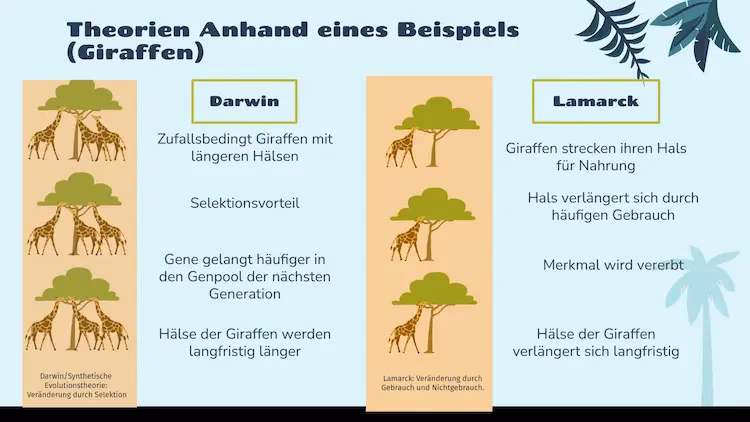 Wie kam es zur Evolutionstheorie?