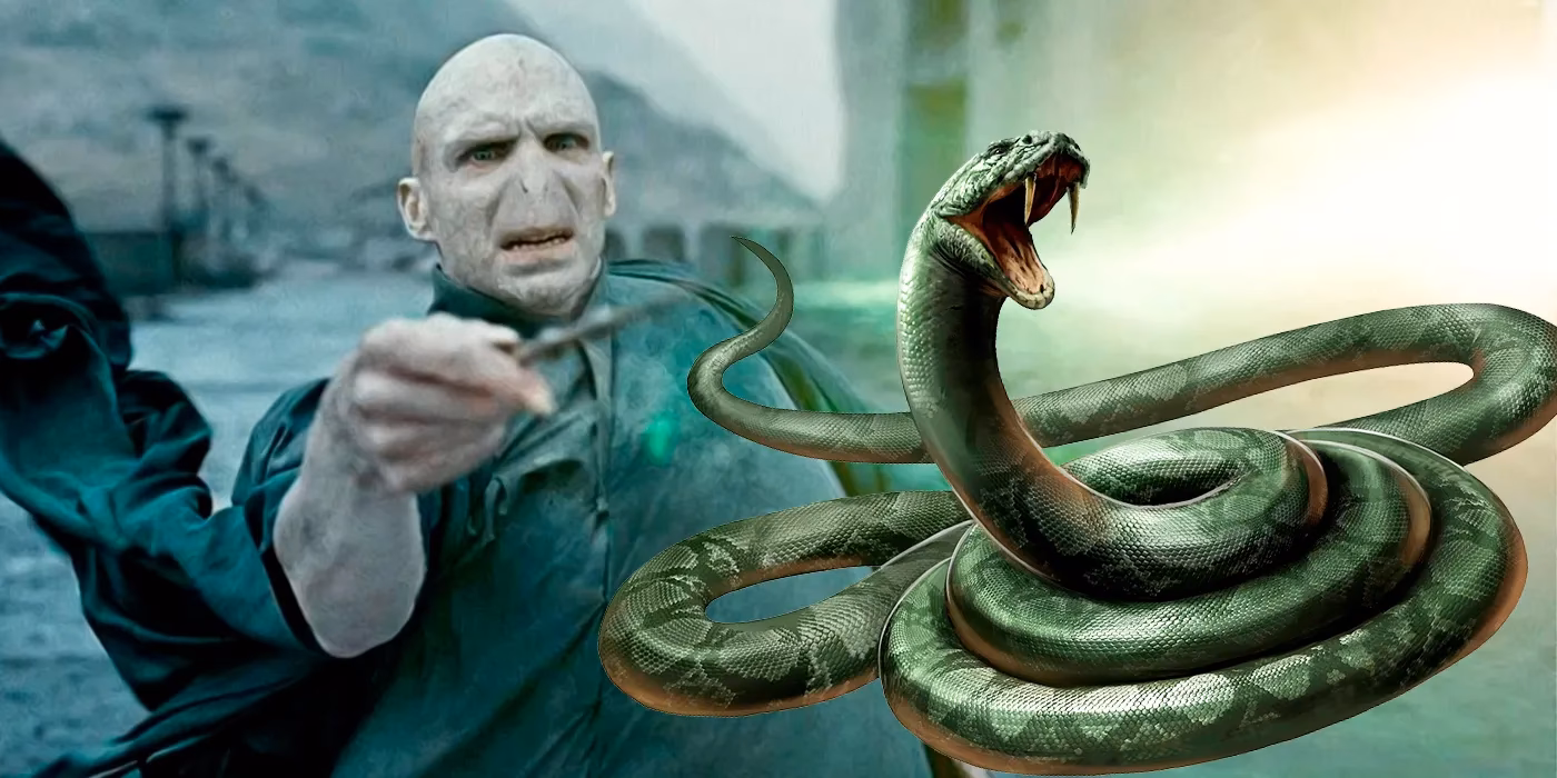 Wie findet Nagini zu Voldemort?