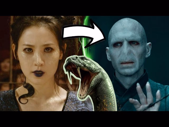 Warum lässt Voldemort Nagini Snape töten?
