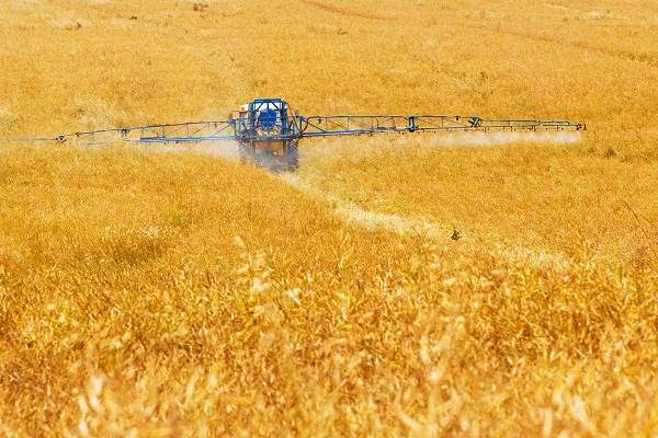 Wie kam es zur Entwicklung von künstlichem Dünger?