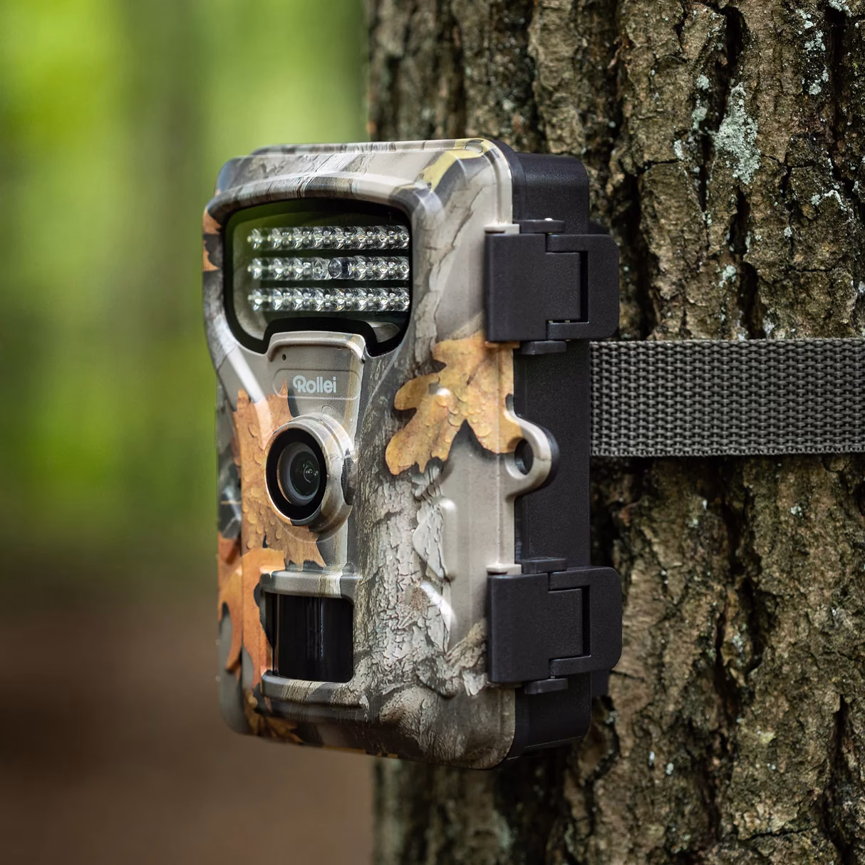 Wann löst eine Wildkamera aus?