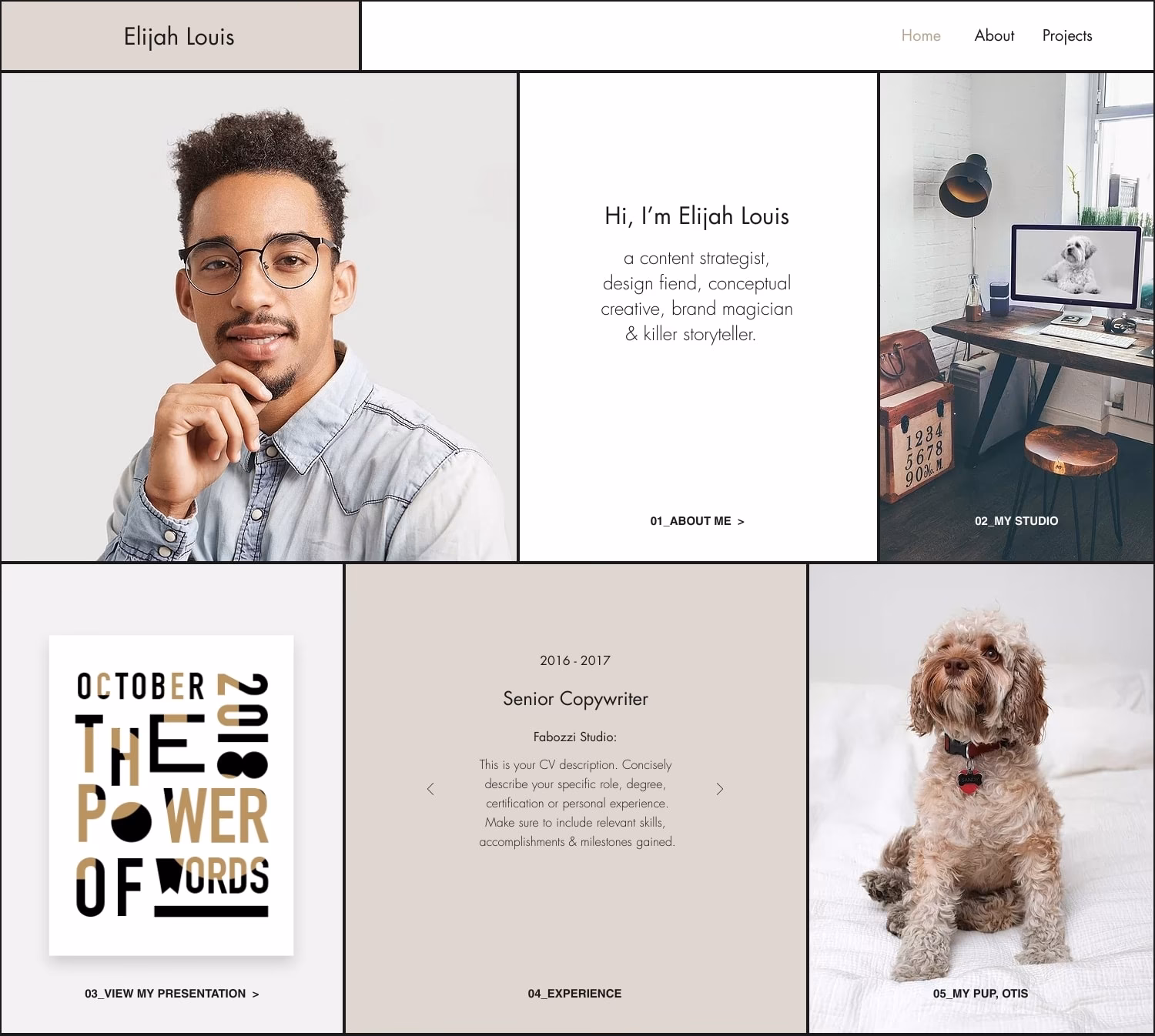 Kann man mit Wix eine professionelle Website erstellen?