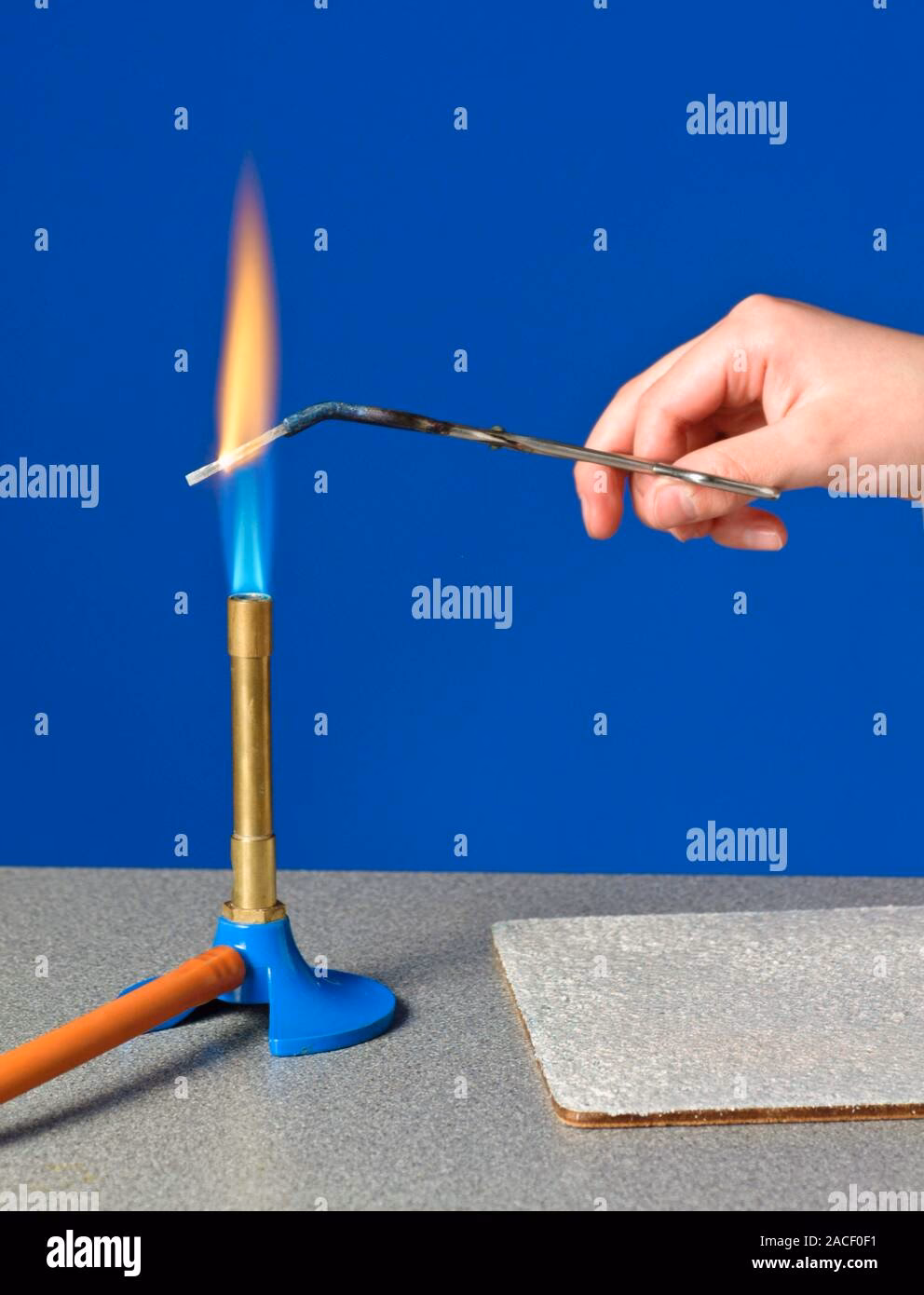 Woher kommen die Flamen?