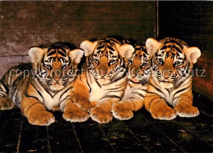 Wie alt ist Olivier Pagan?