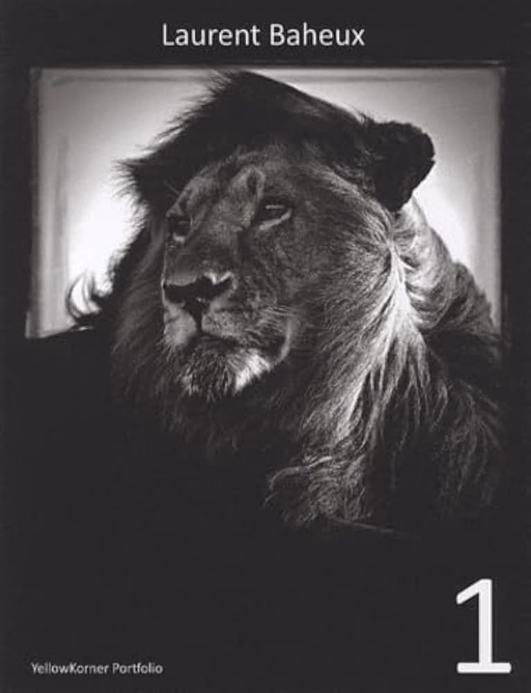 Wo befindet sich der Hauptsitz von Yellow Korner?