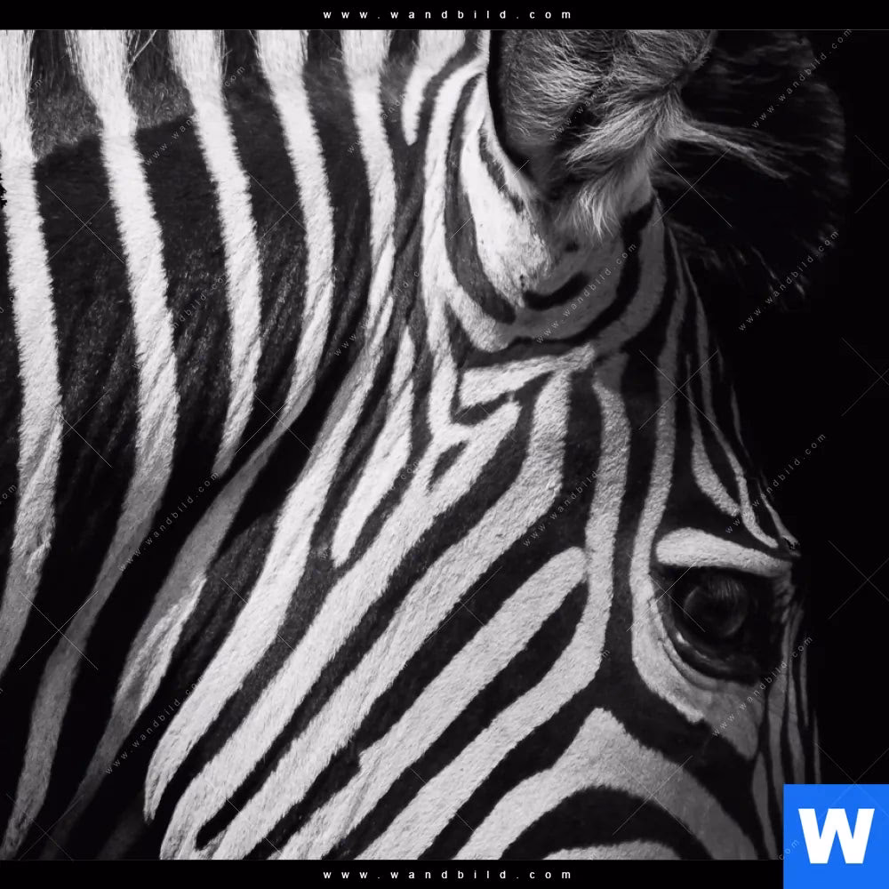 Was bedeutet der Zebraeffekt?