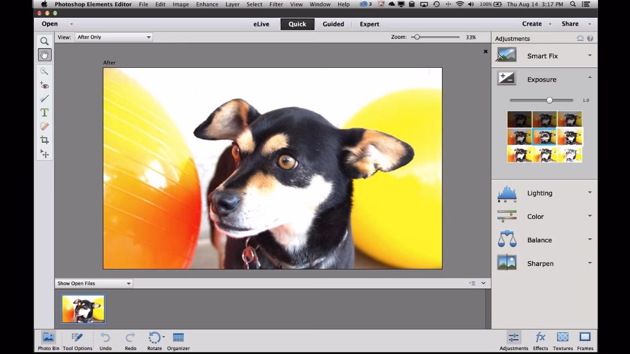 When did Photoshop Elements 13 come out?